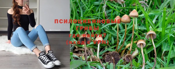 хмурый Абинск