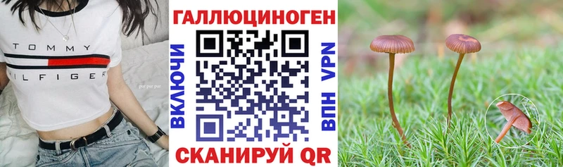 как найти   MEGA ссылки  Псилоцибиновые грибы Magic Shrooms  Отрадный 
